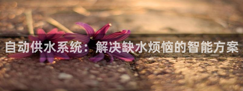 球友会破解码