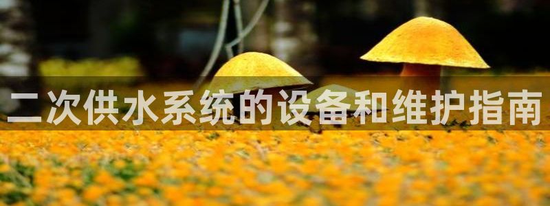 球友会联赛