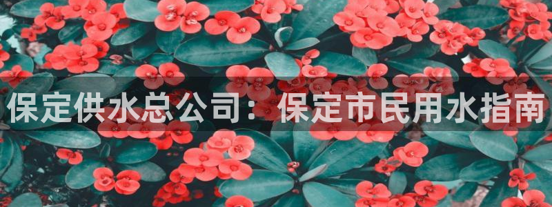 qy球友会体育官下载