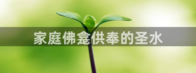 球友会拼音