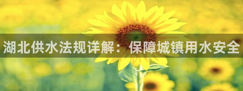 球友会提款审核中