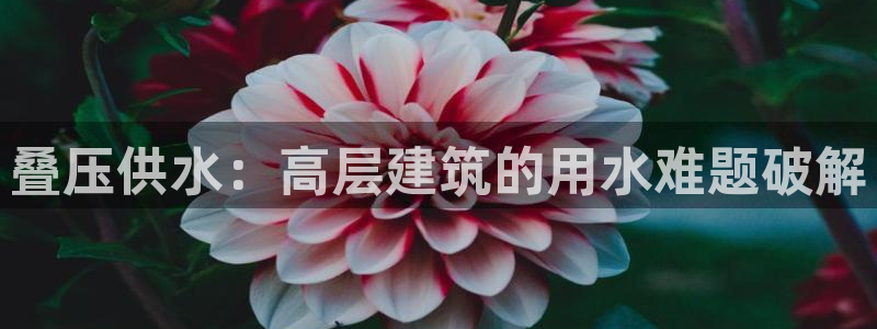球友会台球俱乐部在哪
