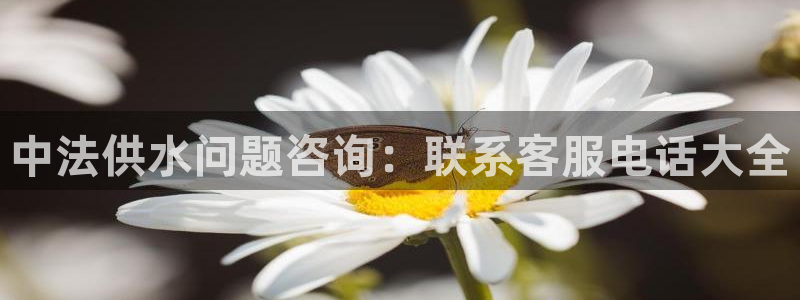 球友会软件