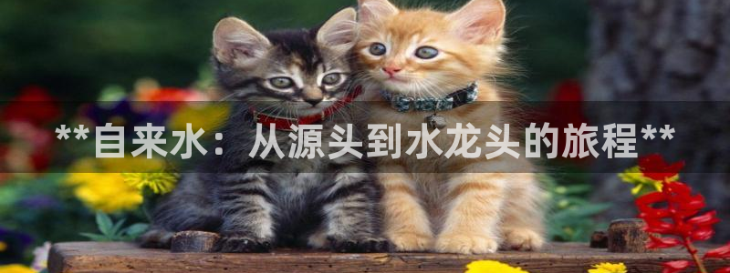 球友会是不是大平台