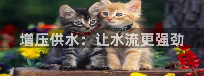球友会apy