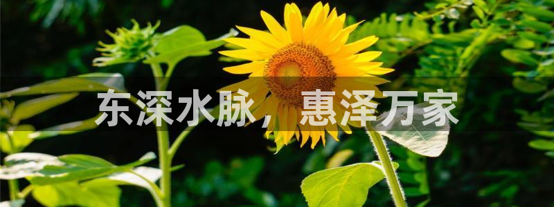 球友会体育app官方版下载安装手机