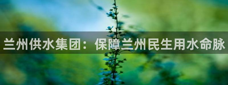 球友会体育app官方版下载安装苹果手机