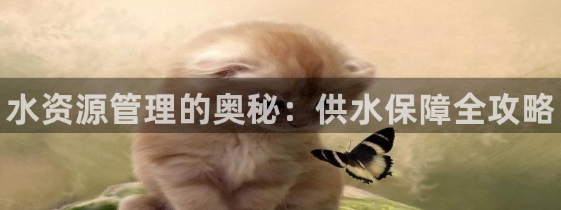 球友会审核