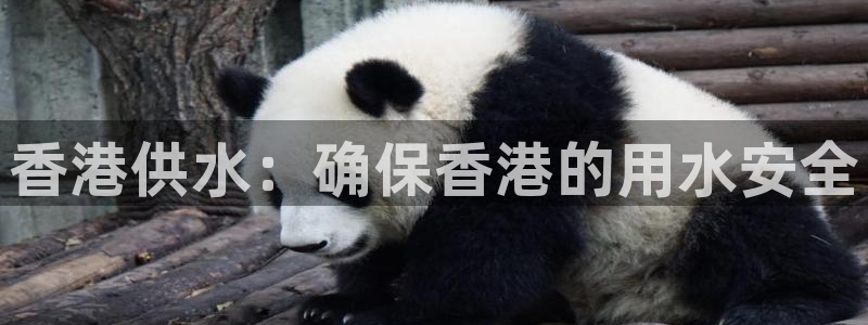 球友会兑换码