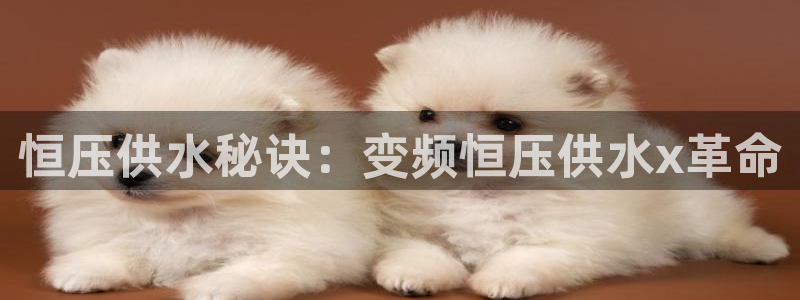 qy球友会体育官网下载