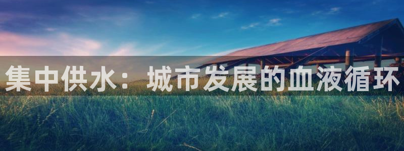 球友会app干啥的
