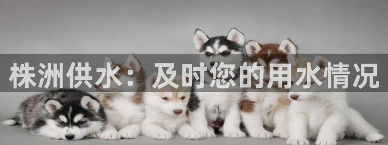 球友会app官方网站下载