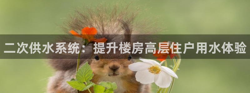 球友会登录不上的原因