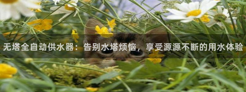 球友会首页