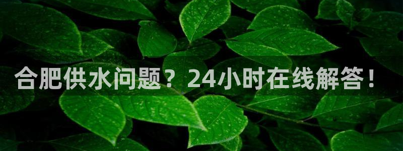 球友会提现不到账