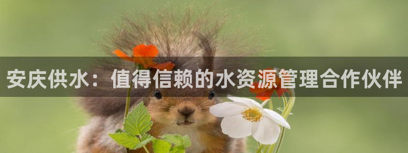 球友会不出款