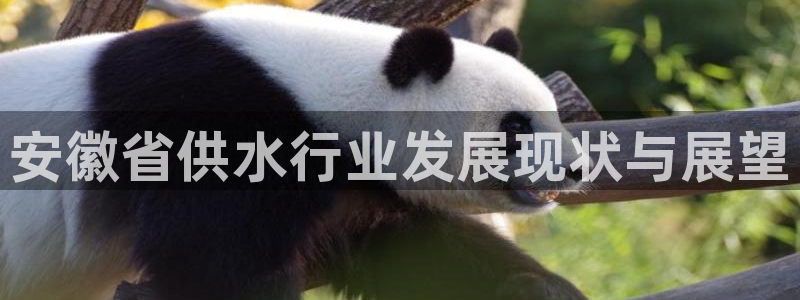 球友会提款审核