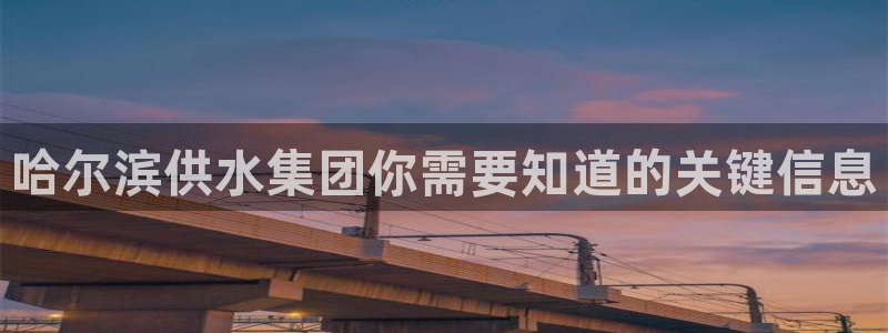 球友会体育app下载安卓版