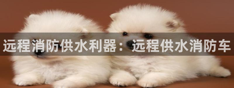 球友会app干啥的软件