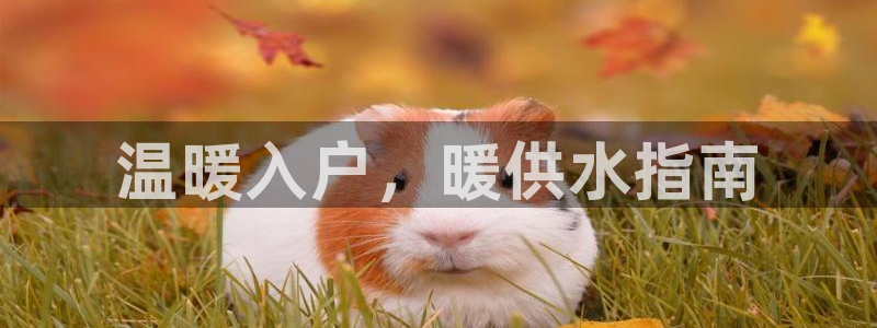 球友会官网登录入口