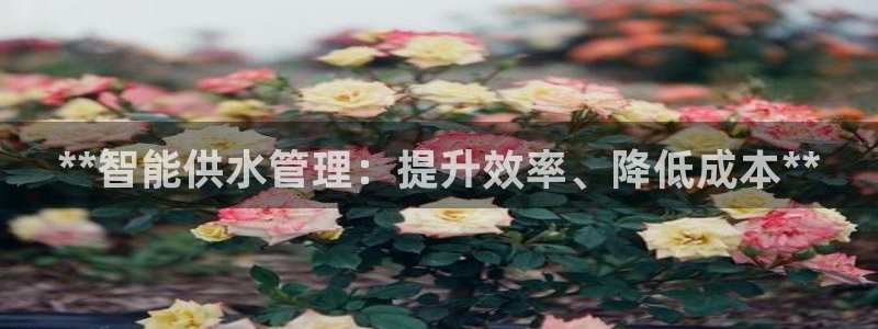 球友会官网