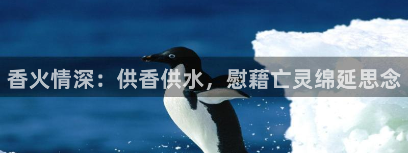 球友会提现