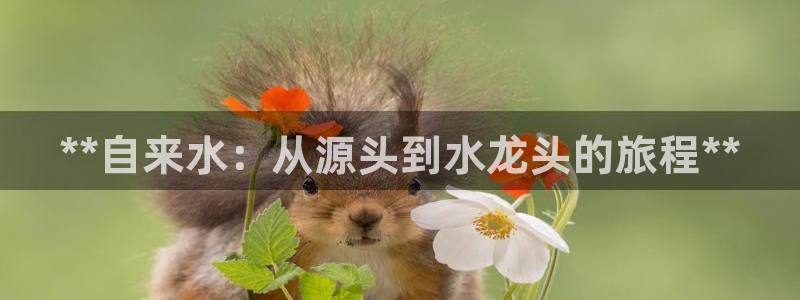 球友会提款审核