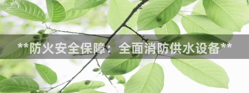 qy球友会体育官方平台