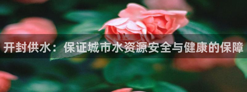 球友会官网入口网址