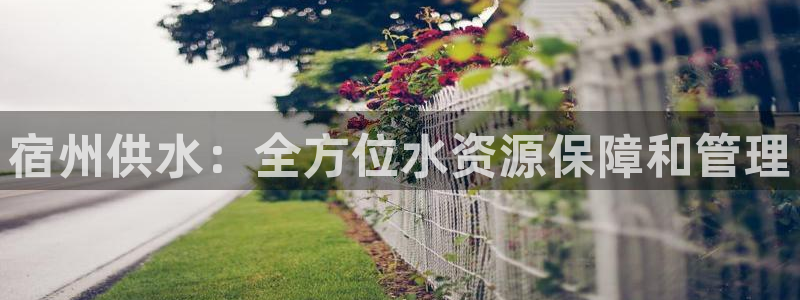 球友会网站多少