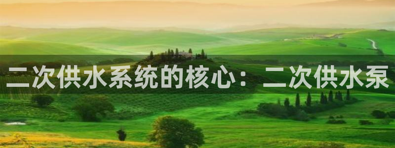 关键词