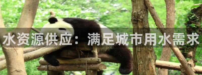 球友会体育