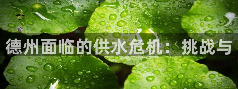 球友会赛程