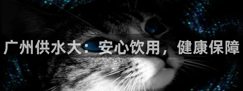 球友会拼音
