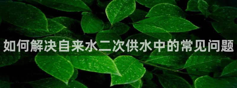球友会app干啥的软件