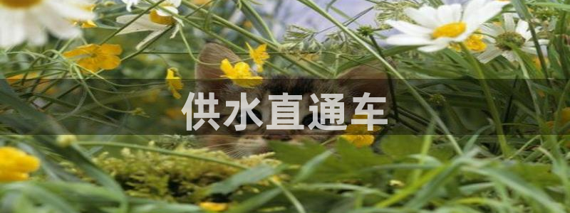 球友会开户礼金在哪领