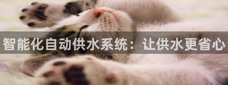球友会体育app官方版下载安装最新