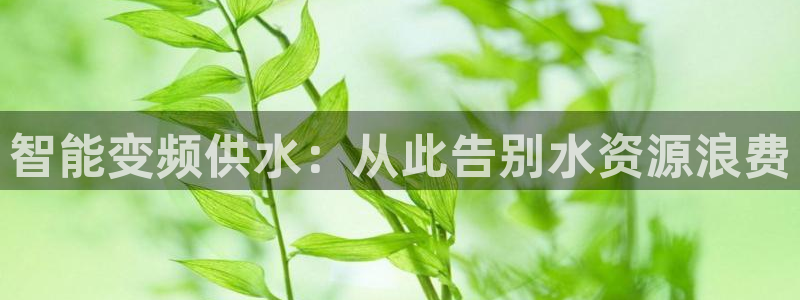 球友会比赛结果查询官网