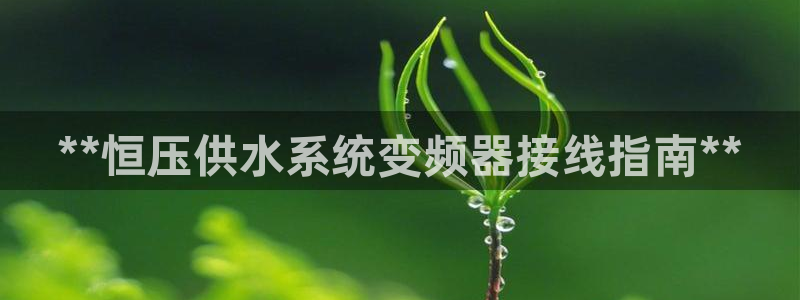 球友会体育app官方版下载安装最新