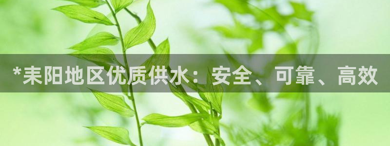 qy球友会体育官方平台