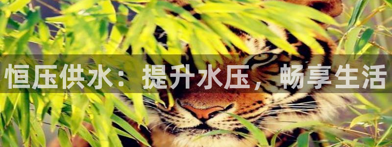 球友会登陆