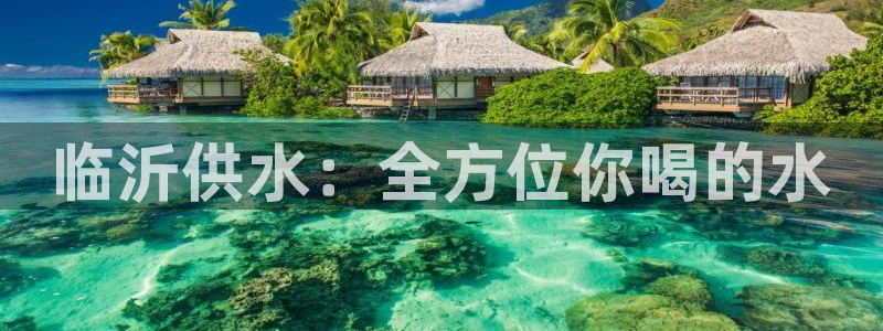 球友会下载安装