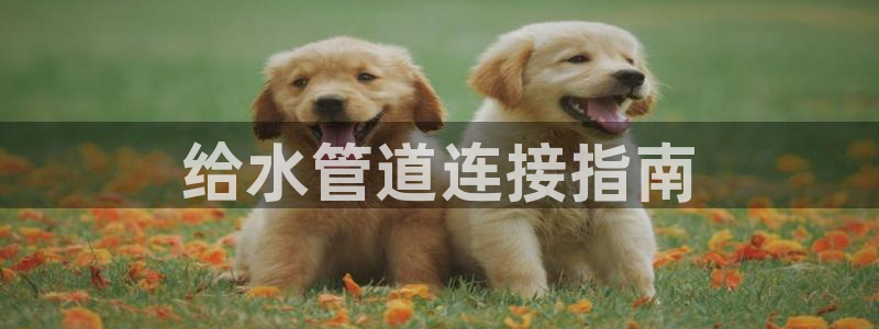 关键词