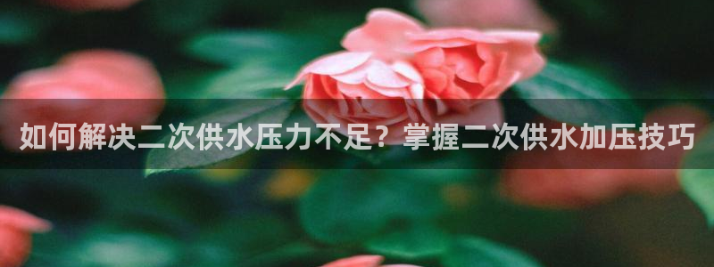 球友会体育app官方版下载安装苹果手机