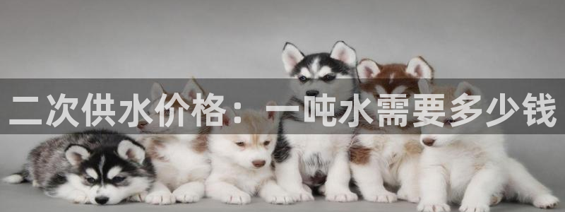 qy球友会体育官下载