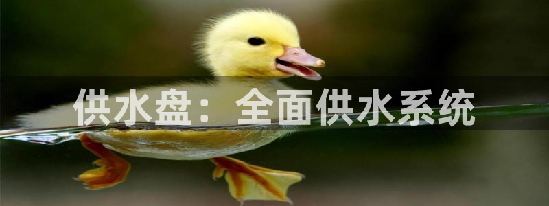 球友会FIFA22比赛是否能随机超控