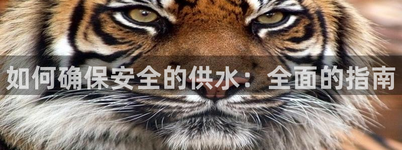 球友会App