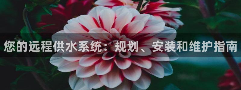 球友会体育app下载安卓