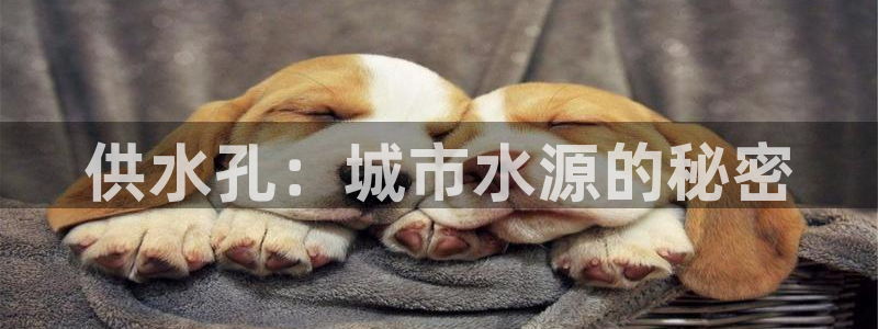 球友会QY