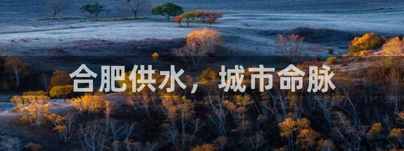 球友会联赛